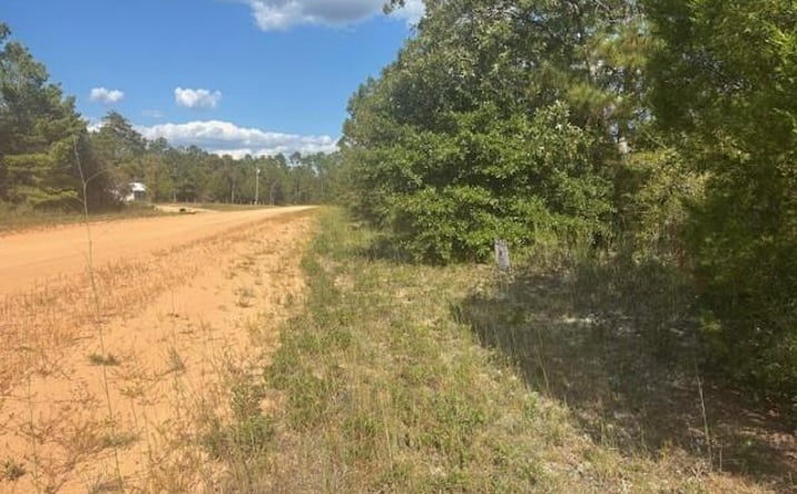 Pictures of Land property located at Nezperce Dr., Alford, FL 32420 for sales - image #1