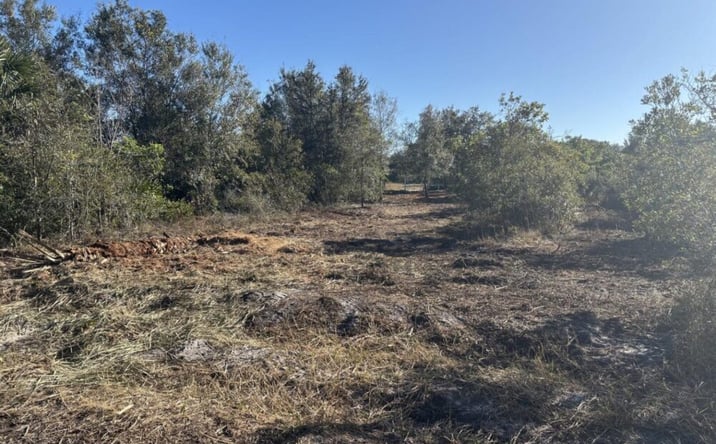 Pictures of Land property located at NW 296th St., Okeechobee, FL 34972 for sales - image #1
