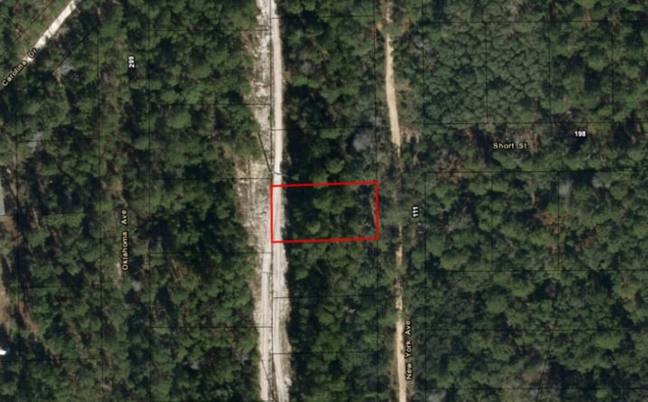 Pictures of Land property located at 111 NEW YORK AV, Satsuma, FL 32189 for sales - image #1