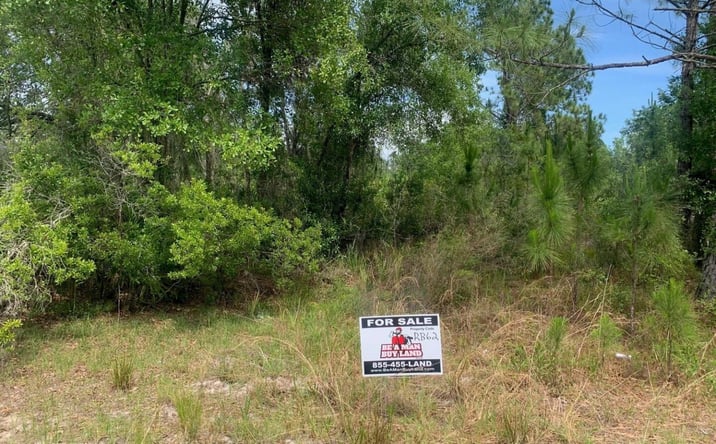 Pictures of Land property located at KATHLEEN, FL  33849, Kathleen, FL 33849 for sales - image #1