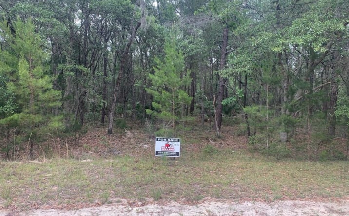 Pictures of Land property located at Huron St., Interlachen, FL 32148 for sales - image #1