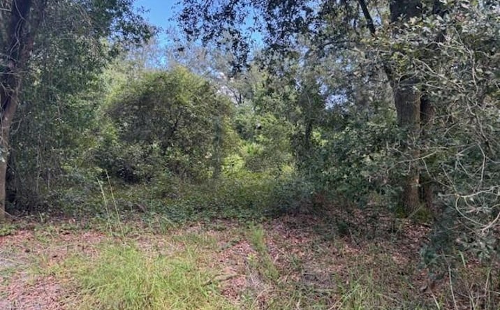 Pictures of Land property located at KATHLEEN, Kathleen, FL 33849 for sales - image #1