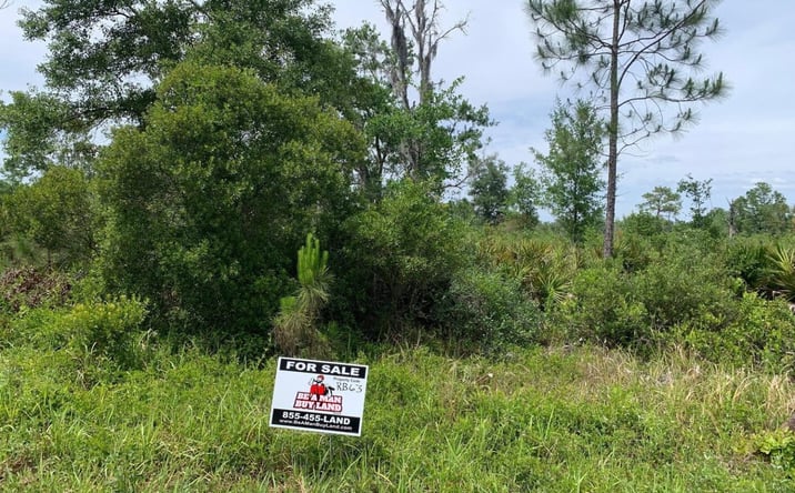 Pictures of Land property located at KATHLEEN, Kathleen, FL 33849 for sales - image #1