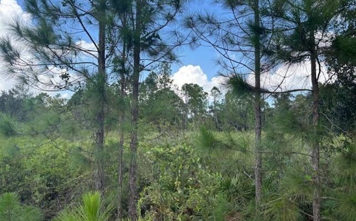 Pictures of Land property located at RB14 Kathleen, Kathleen, FL 33849 for sales - image #1