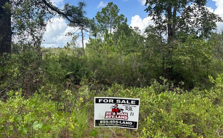 Pictures of Land property located at RB11 Kathleen, Kathleen, FL 33849 for sales - image #1