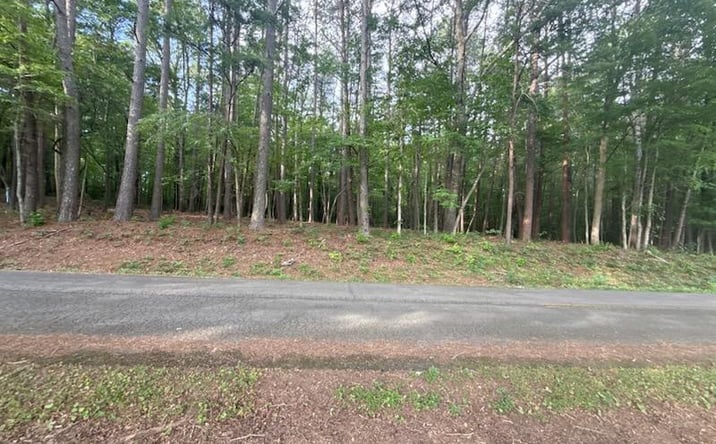 Pictures of Land property located at Hwy 68, Turtletown, TN 37391 for sales - image #1