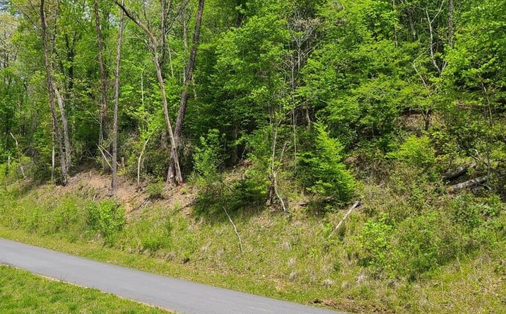 Pictures of Land property located at 153 River Sound Drive, Murphy, NC 28906 for sales - image #1