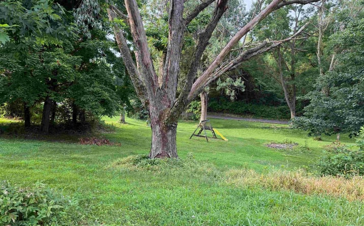 Pictures of Land, Special Purpose property located at 4 Hickory Lane, Warsaw, IL 62379 for sales - image #1