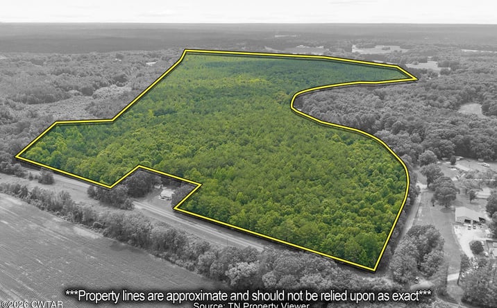 Pictures of Land property located at Highway 22 A, Lexington, TN 38351 for sales - image #1