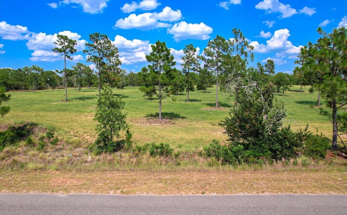 Pictures of Land, Multifamily, Special Purpose property located at 1150 Bethcar Church Road, Wagener, SC 29164 for sales - image #1