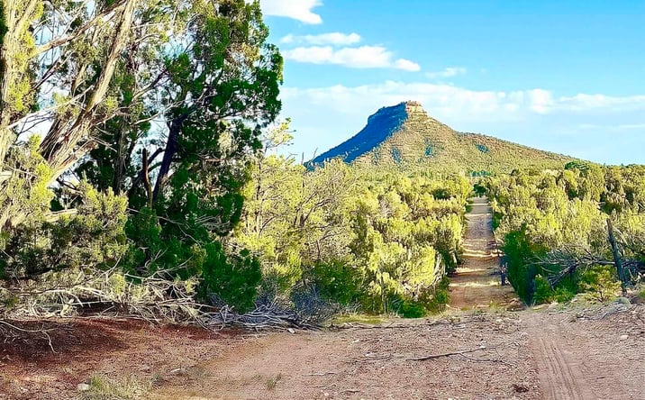 Pictures of Land property located at TBD W Sena Ranch Road, Serafina, NM 87569 for sales - image #1