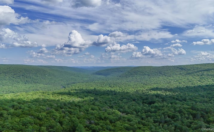 Pictures of Land, Special Purpose property located at 242 Denton Falls Road, Forestburgh, NY 12777 for sales - image #1