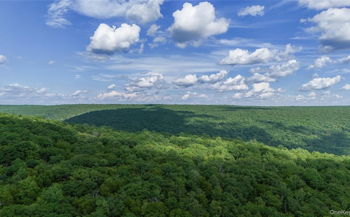 Pictures of Land, Special Purpose property located at X Wilderness Trail, Forestburgh, NY 12777 for sales - image #1