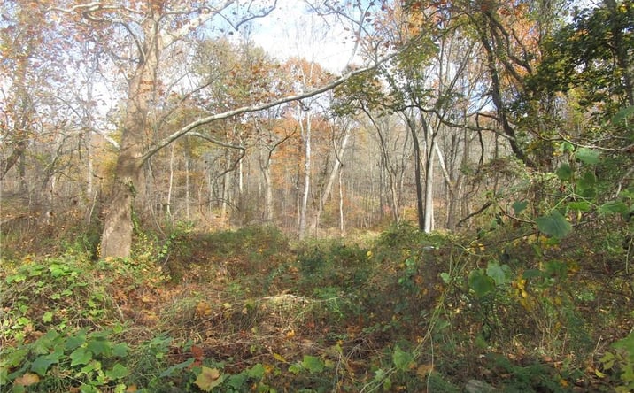 Pictures of Land, Multifamily property located at 3766 Foothill Street, Mohegan Lake, NY 10547 for sales - image #1