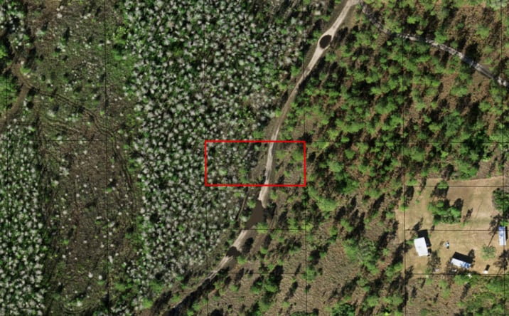 Pictures of Land property located at Holopaw Groves Rd, St. Cloud, FL 34771 for sales - image #1