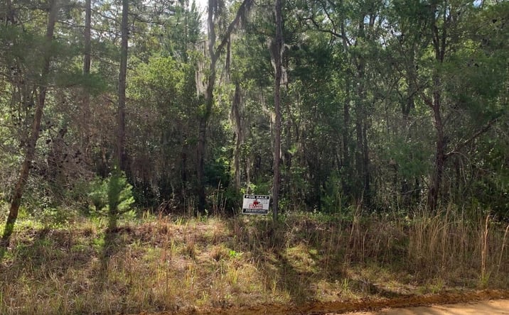 Pictures of Land property located at Shappell Ave., Interlachen, FL 32148 for sales - image #1