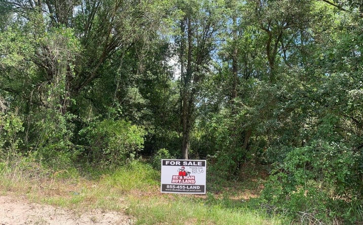 Pictures of Land property located at RB30 Kathleen, Kathleen, FL 33849 for sales - image #1
