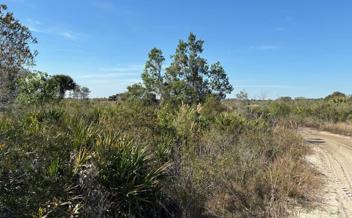 Pictures of Land property located at NW 308th Street, Okeechobee, FL 34972 for sales - image #1