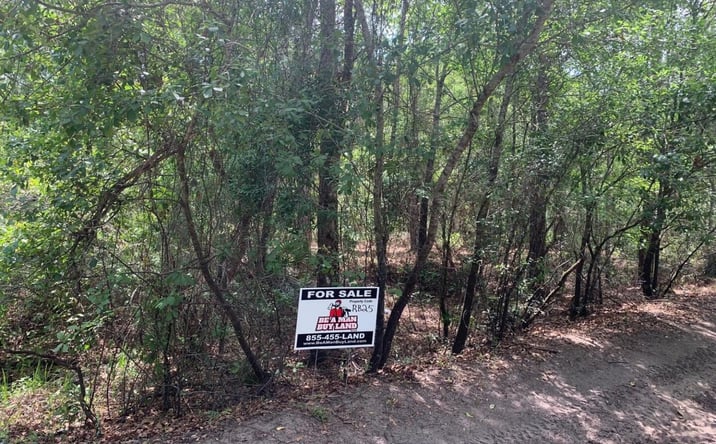 Pictures of Land property located at RB25 Kathleen, Kathleen, FL 33849 for sales - image #1