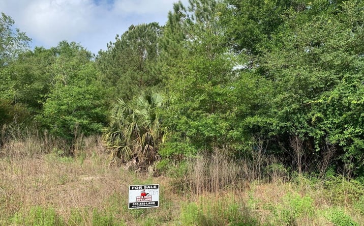Pictures of Land property located at Douglas Dr., Interlachen, FL 32148 for sales - image #1