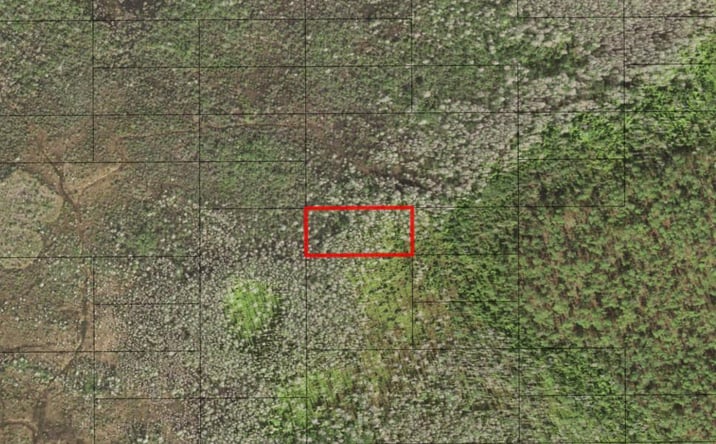 HP49- Holopaw Groves Rd
