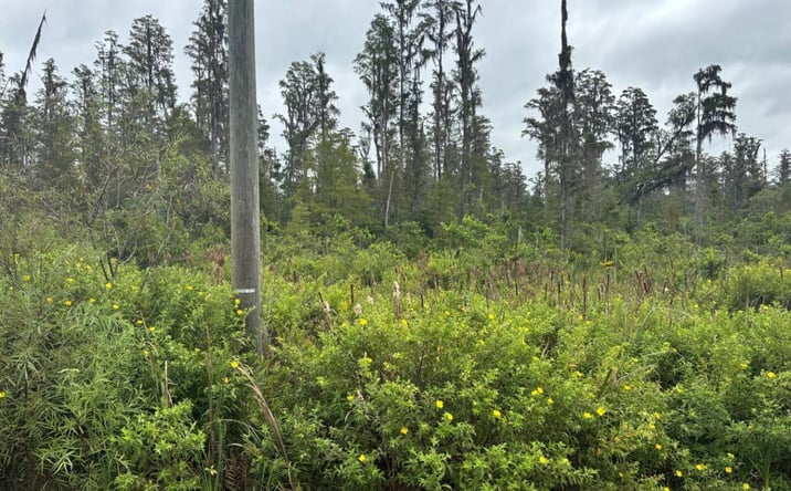 Pictures of Land property located at 0 Old Grade Rd, Polk City, FL 33868 for sales - image #1