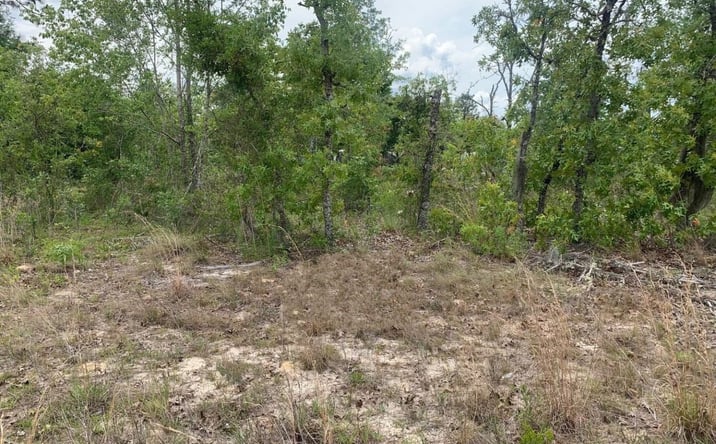 Pictures of Land property located at Monroe Street, Interlachen, FL 32148 for sales - image #1