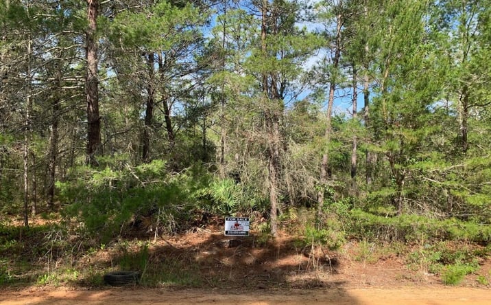 Pictures of Land property located at Louise Ave., Interlachen, FL 32148 for sales - image #1
