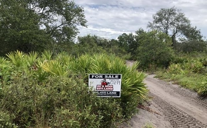 Pictures of Land property located at Lake Wales, Lake Wales, FL 33859 for sales - image #1