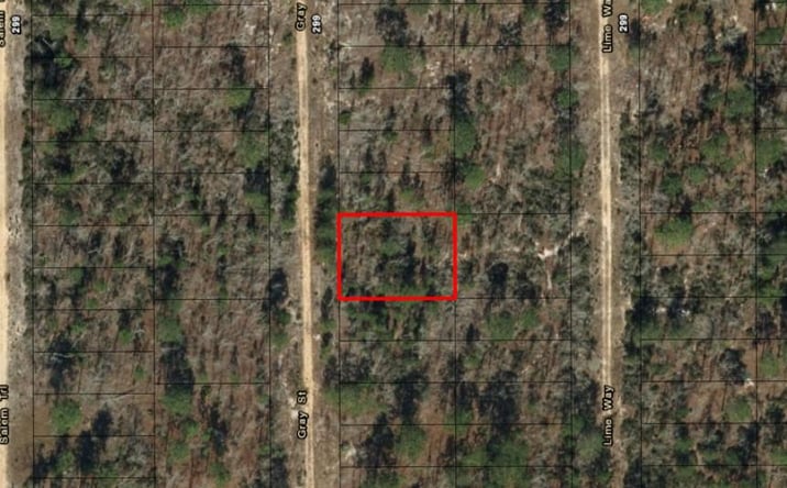 Pictures of Land property located at TLE1 Grey St, Grey St, FL 32148 for sales - image #1