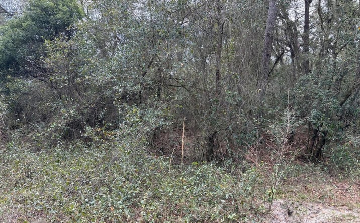 Pictures of Land property located at RB65, Kathleen, Kathleen, FL 33849 for sales - image #1