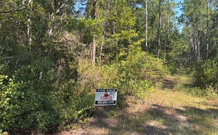 Pictures of Land property located at SE 8th Ave., Palatka, FL 32177 for sales - image #1