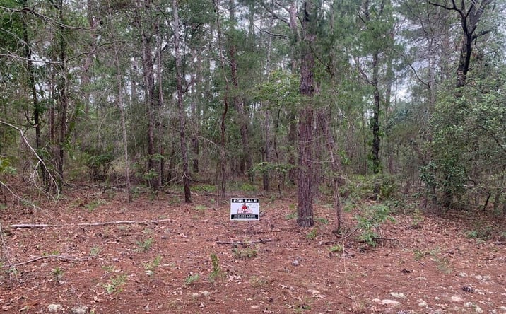 Pictures of Land property located at Interlachen, Interlachen, FL 32148 for sales - image #1