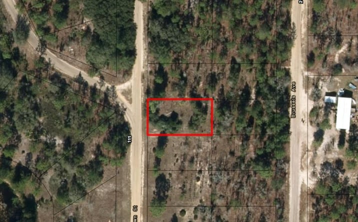 Pictures of Land property located at 110 Brown Street, Interlachen, FL 32148 for sales - image #1