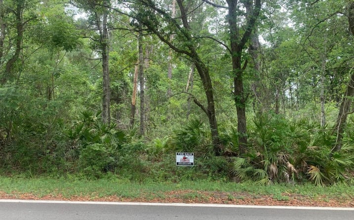 Pictures of Land property located at Theresa Ave., Interlachen, FL 32148 for sales - image #1