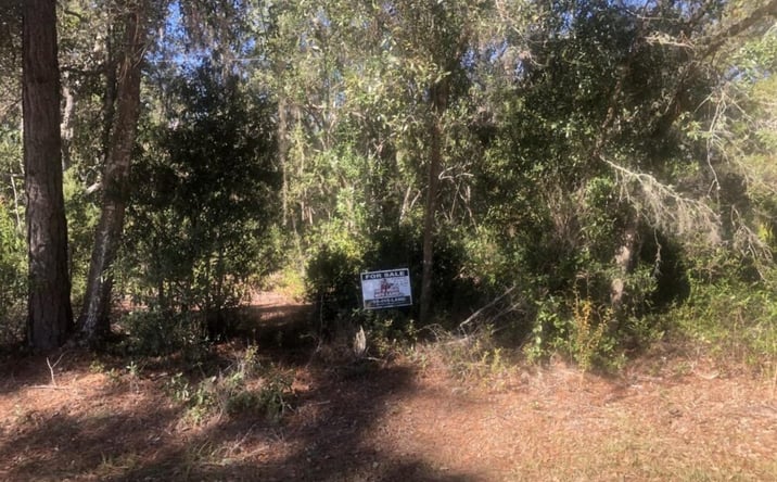 Pictures of Land property located at Lakeshore Terrace, Interlachen, FL 32148 for sales - image #1