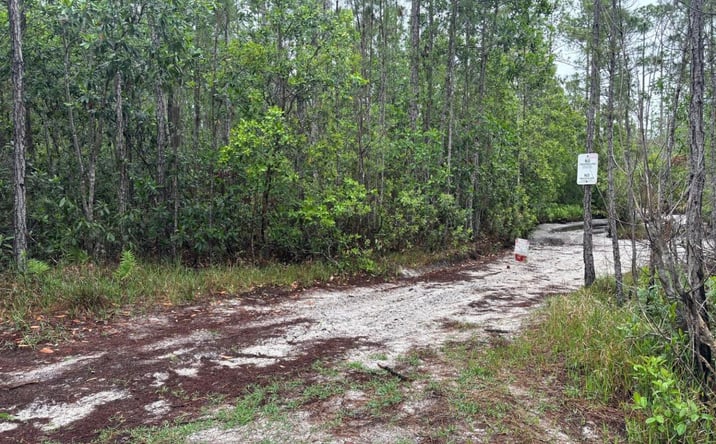 Pictures of Land property located at HOLOPAW GROVES RD, Saint Cloud, FL 34772 for sales - image #1