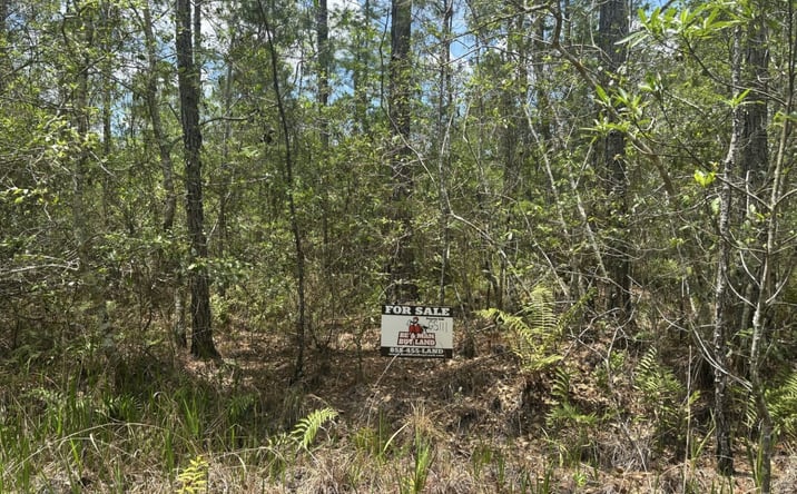 Pictures of Land property located at Water Rd GS111, Clermont, FL 34714 for sales - image #1