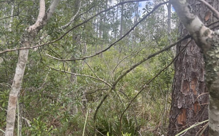 Pictures of Land property located at Water Rd GS132, Clermont, FL 34714 for sales - image #1