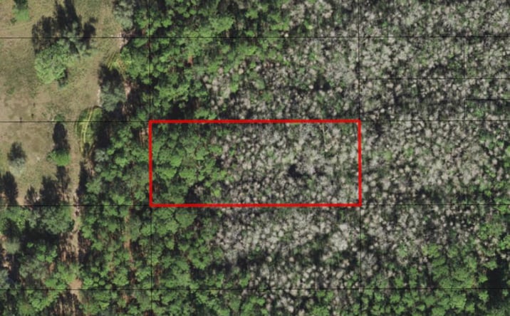 Pictures of Land property located at OPP202, Polk City, FL 33868 for sales - image #1