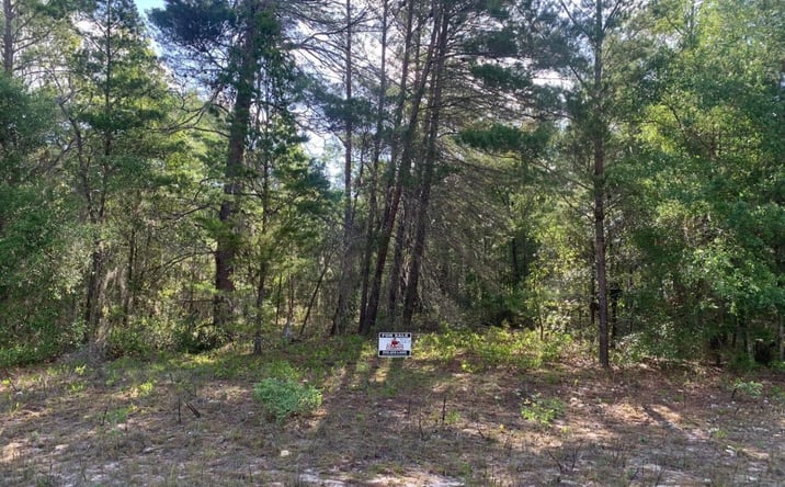 Pictures of Land property located at Evans Ave., Interlachen, FL 32148 for sales - image #1