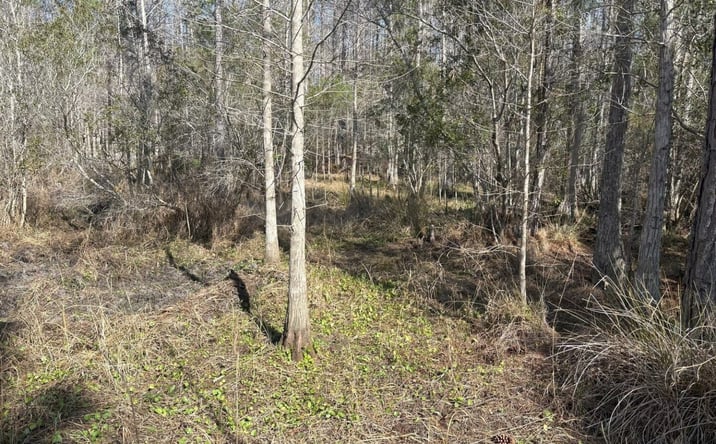 Pictures of Land property located at Old Grade Road, Polk City, FL 33868 for sales - image #1