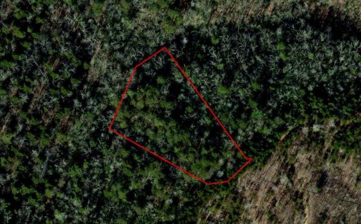 Pictures of Land property located at Belleview Lane WMC1, Marion, NC 28752 for sales - image #1