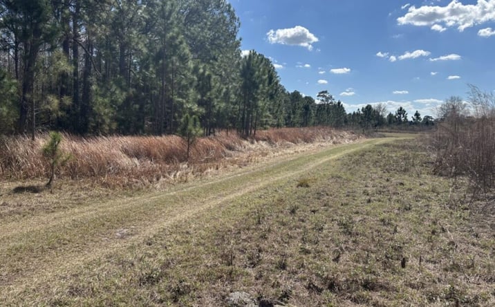 Pictures of Land property located at Old Grade Rd, Polk Cit, FL 33868 for sales - image #1