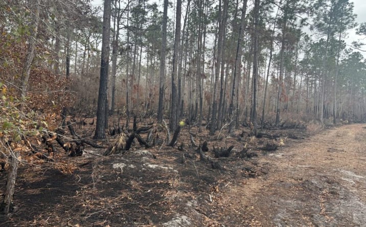 Pictures of Land property located at Alligator Rd GS46, Clermont, FL 34714 for sales - image #1