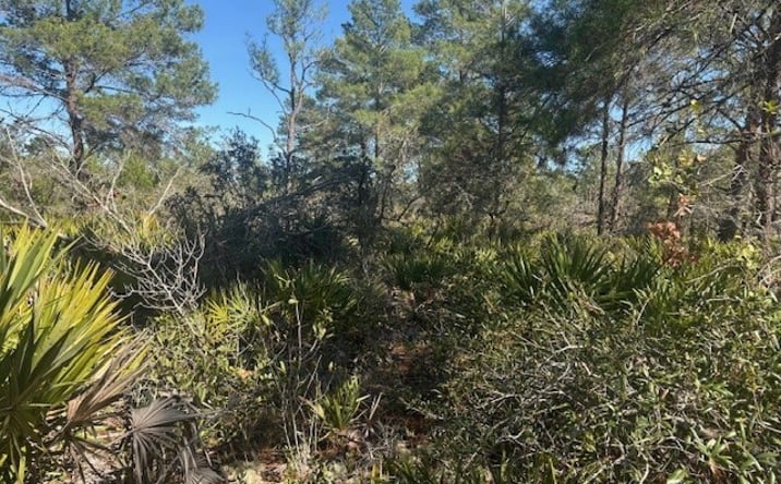 Pictures of Land property located at 10681 Interlacher Dr OBCCC1, Sebring, FL 33872 for sales - image #1