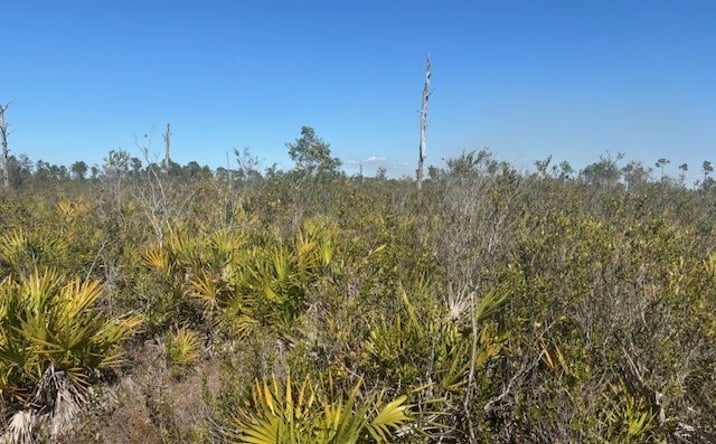 Pictures of Land property located at RRE1 Frostproof, Frostproof, FL 33843 for sales - image #1