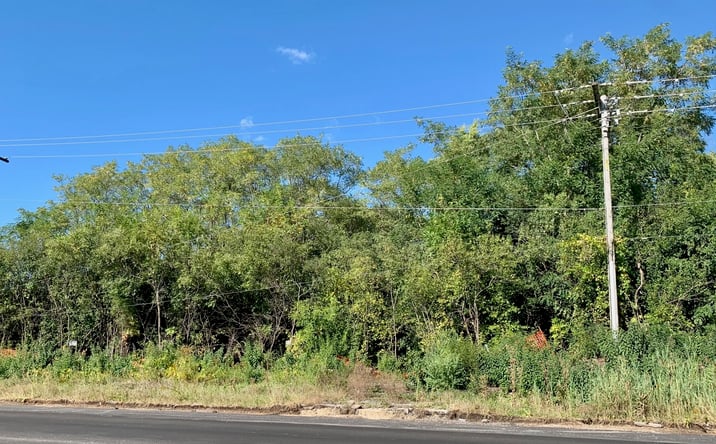 Pictures of Land property located at 460 W Irving Park Road, Roselle, IL 60172 for sales - image #1