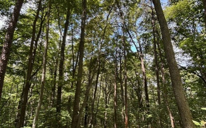 Pictures of Land property located at Bronx Corner Rd, Ray, OH 45672 for sales - image #1