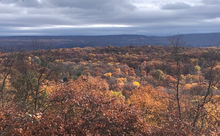 Pictures of Land property located at 1216 Dorset, Bushkill, PA 18324 for sales - image #1